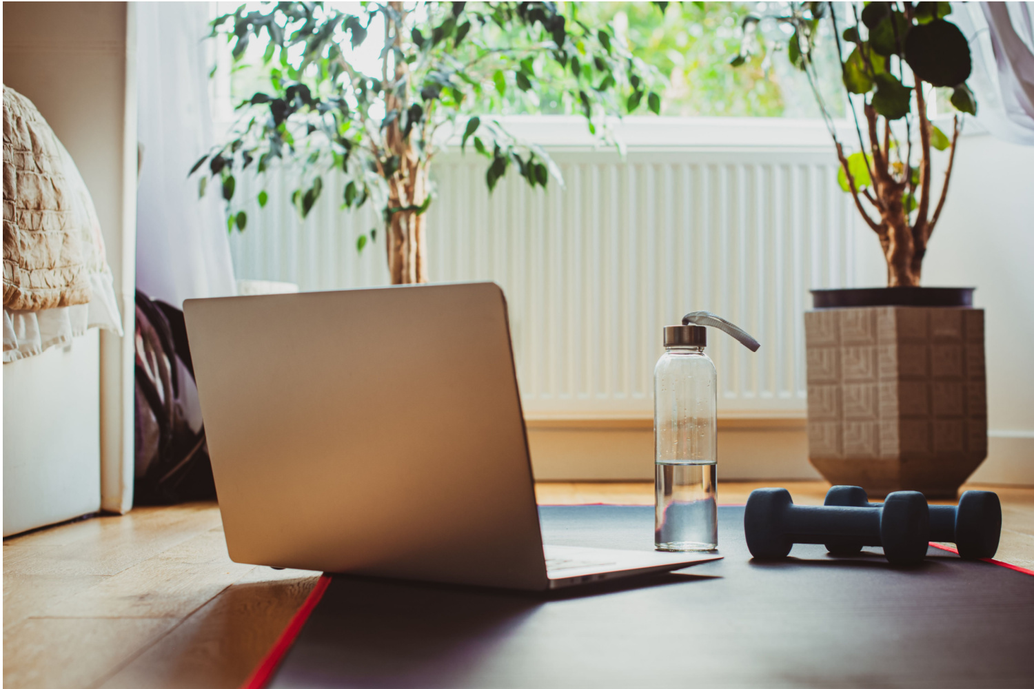 What is a home exercise program?