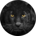 Big Rod Avatar